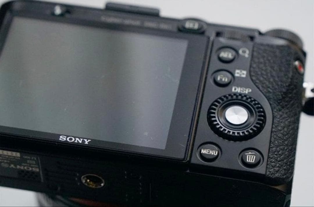 SONY DSC-RX1（高級コンデジ）美品