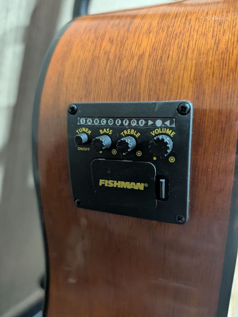 良音/Epiphone　PR-200 改Fishmanエレアコ