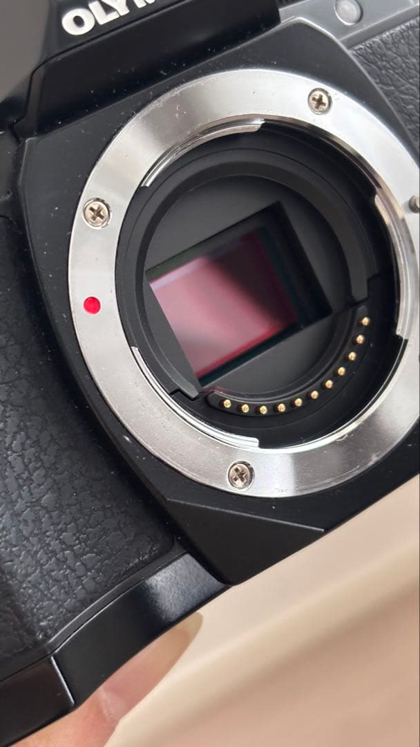 OLYMPUS OM-D E-M10 本体　レンズ付き