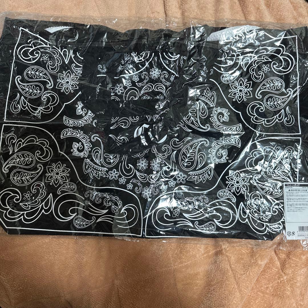 【最終価格❣️】G-DRAGON 2013 WORLD TOUR バッグ ラス1❣️