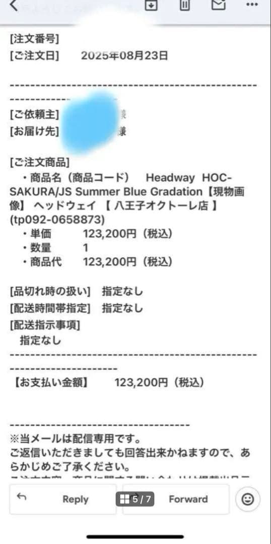 Headway ヘッドウェイ HOC-SAKURA/JS SBL-GRD アコギ