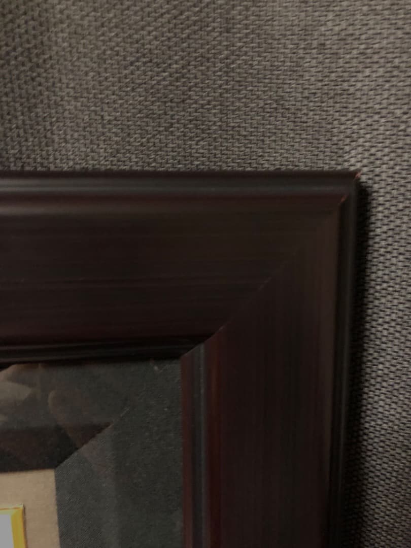 松本零士わが青春のアルカディア直筆サインシルクスクリーン銀河鉄道999ハーロック