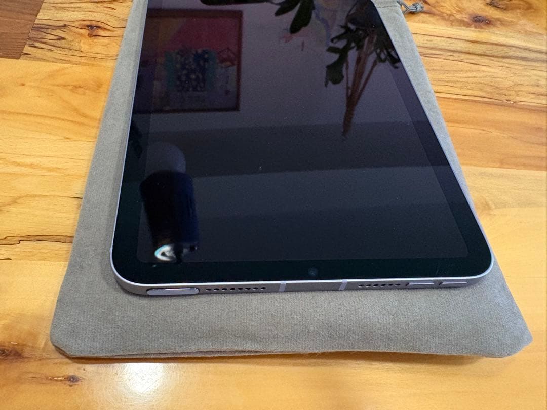 iPad本体 iPad mini6 256GB Cellular ,Apple Pencil2