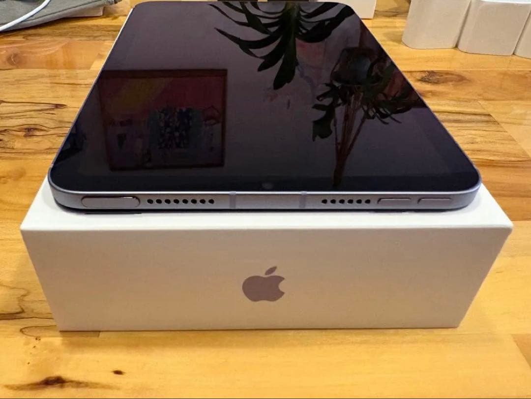 iPad本体 iPad mini6 256GB Cellular ,Apple Pencil2