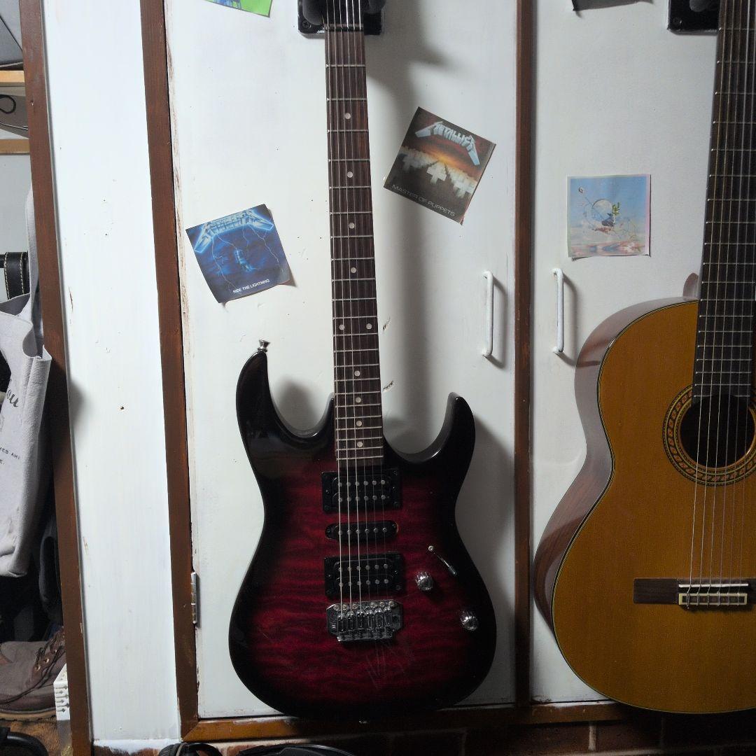 アイバーニーズ　ジオシリーズ