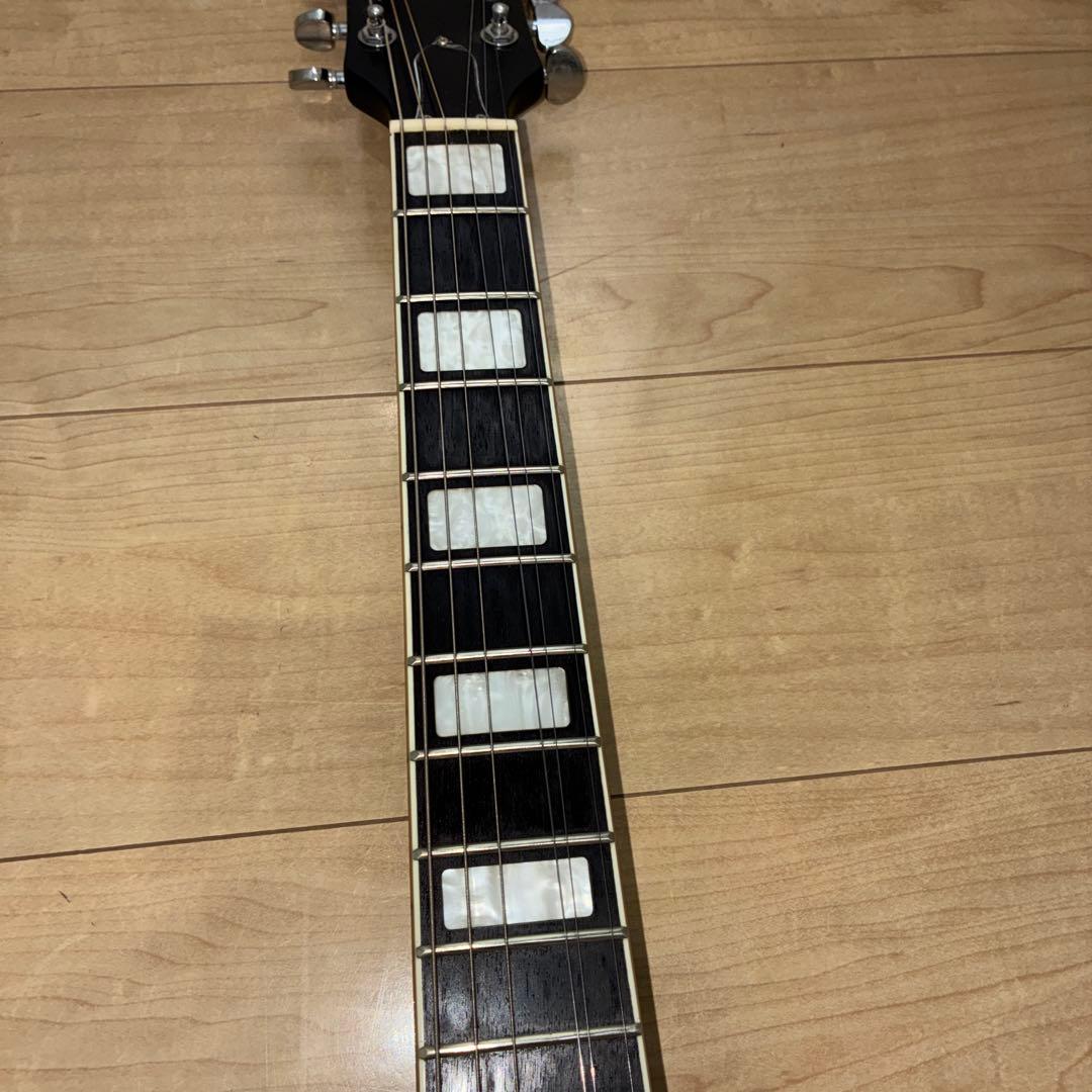 プレイテック　SA20 Green セミアコースティックギター　グリーン