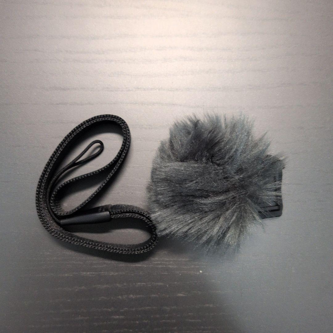 Canon PowerShot V1 ブラック 美品 防湿庫保管 おまけ付