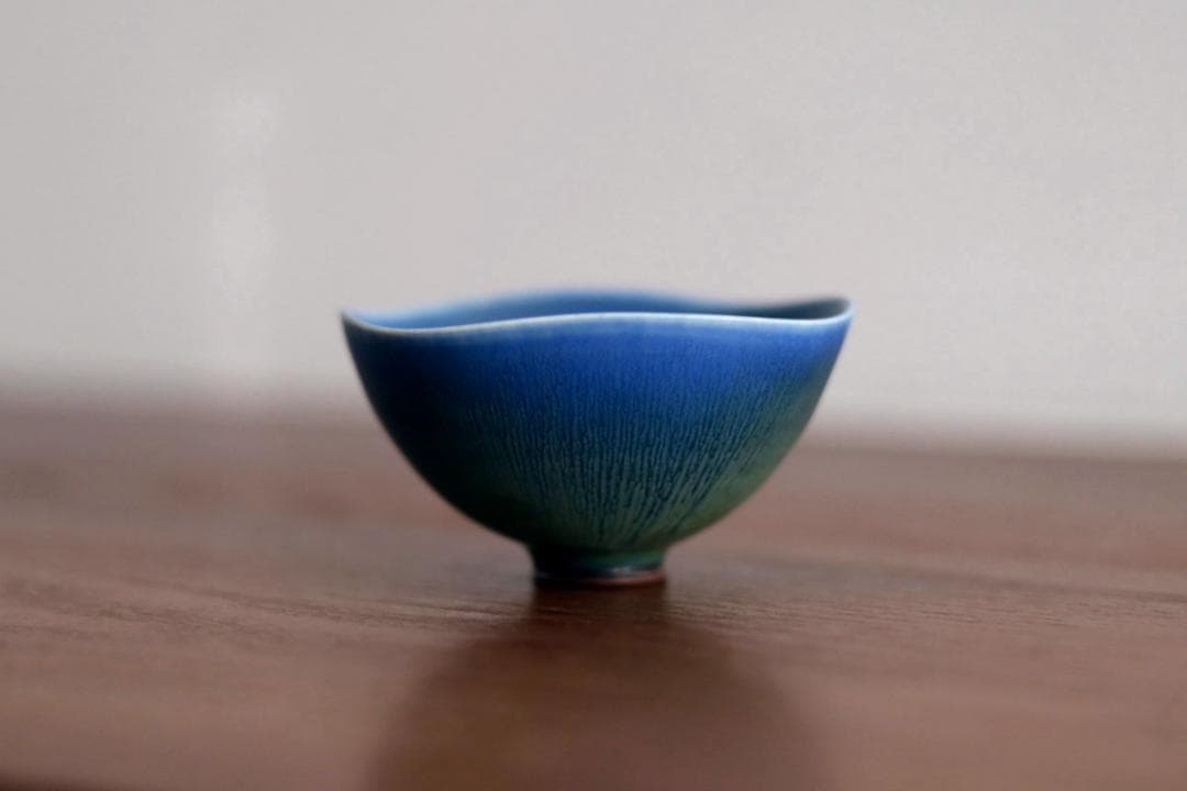 Berndt Friberg ベルントフリーベリ ボウル 50093