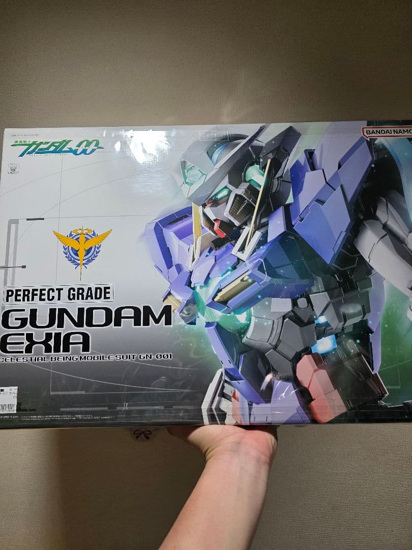 ◆未組立品◆PGガンダムエクシア