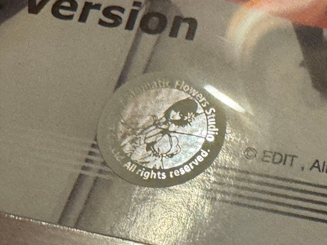 SAV 1/100 スピードミラージュ ヴンダーシェッツェ　ボークス