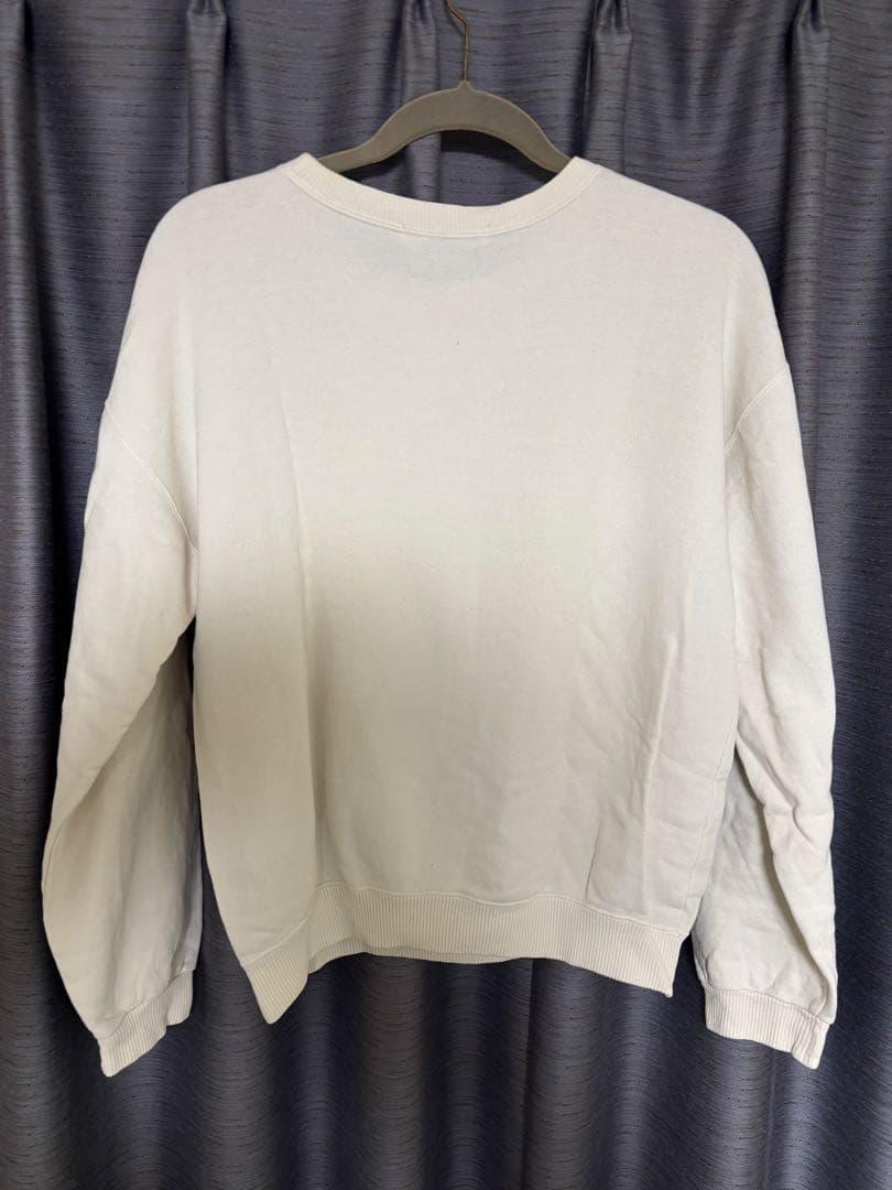 ⭐︎★⭐︎超激レア⭐︎★⭐︎ とんねるず石橋貴明 セシカ 紅白出禁トレーナー