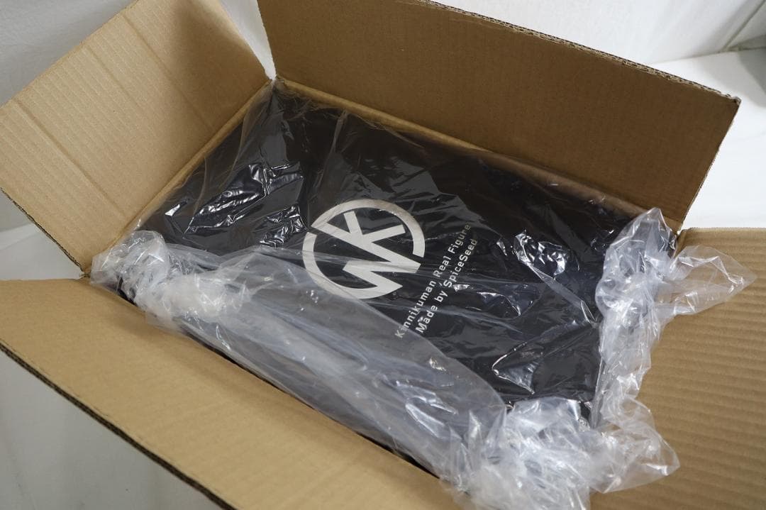 ◇スパイスシード キン肉マン ブロッケンJr. フィギュア 02039