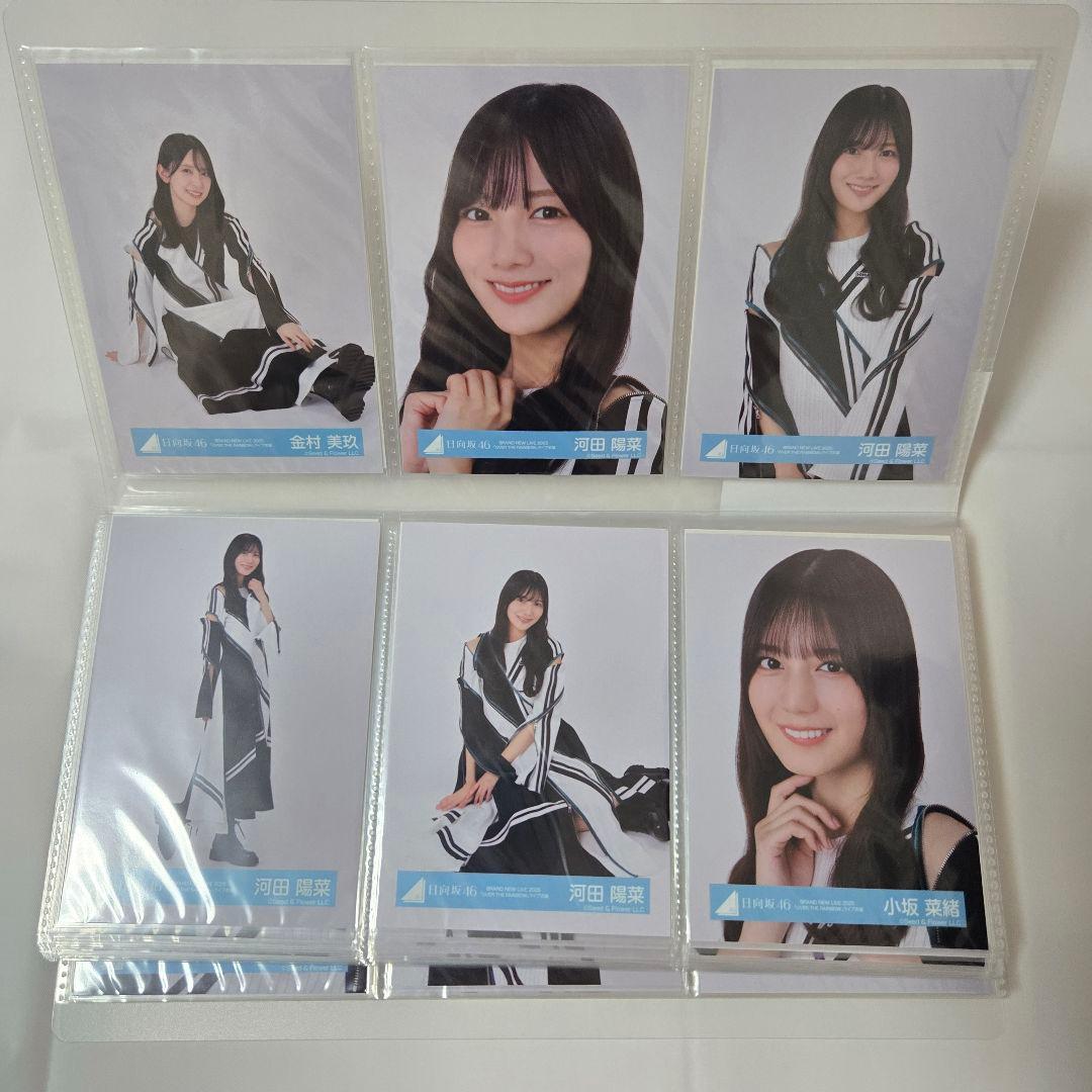 日向坂46 生写真 フルコンプ OVER THE RAINBOW ライブ衣装