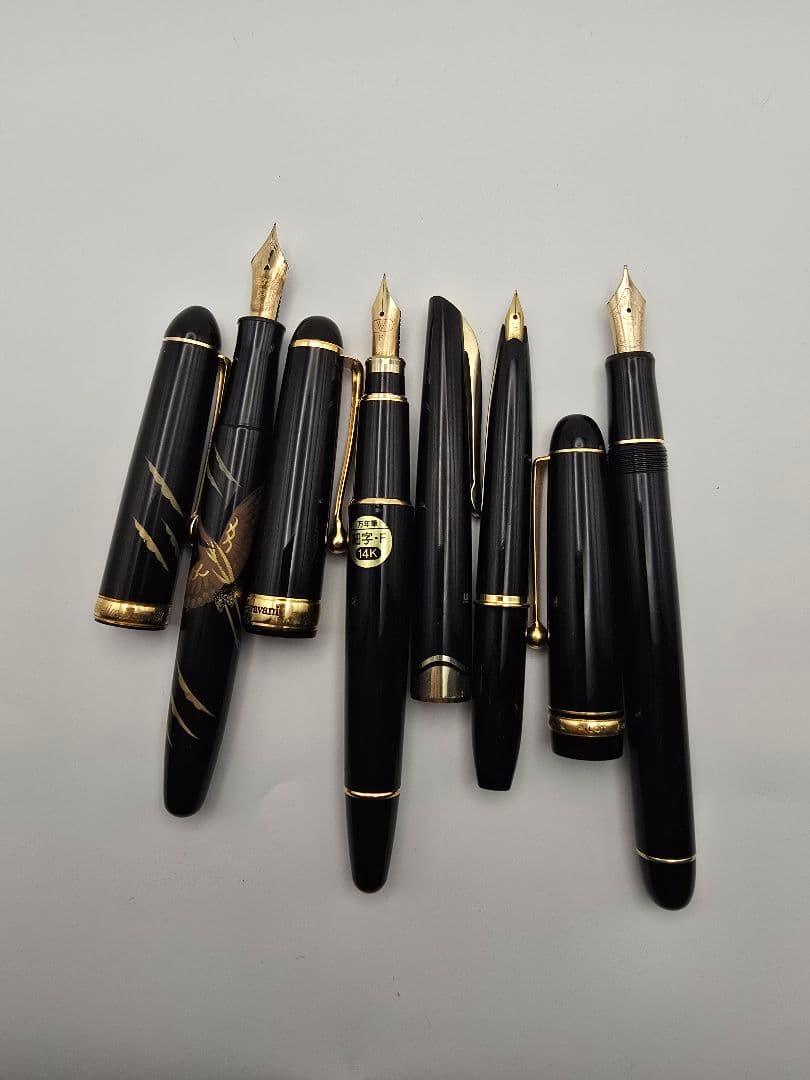 Pilot　ValentinoGaravani　Platinum　万年筆　14K