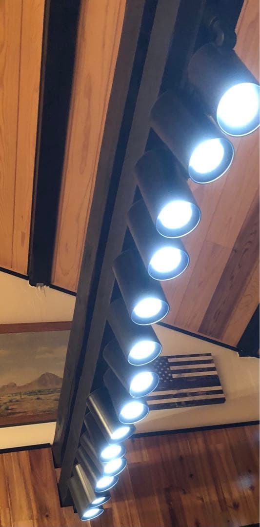 パナソニック　スポットライト　17個　調光タイプ