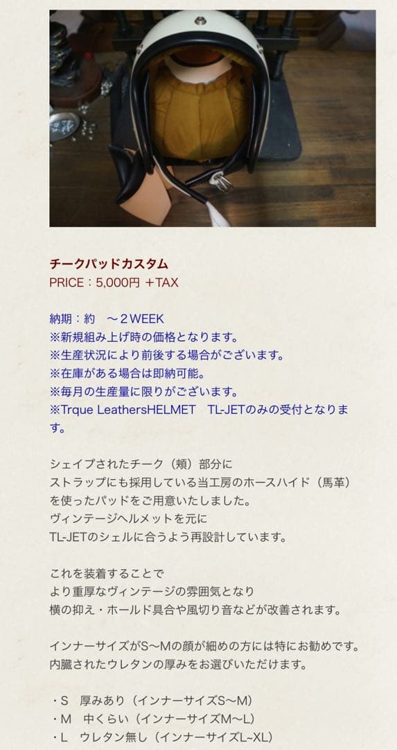 TL-JET Trque Leathers JET オーシャンビートル おまけ付