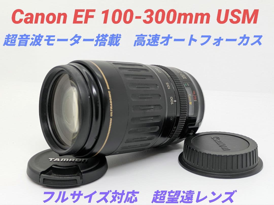 12月18日限定価格♪Canon EF 100-300mm USM