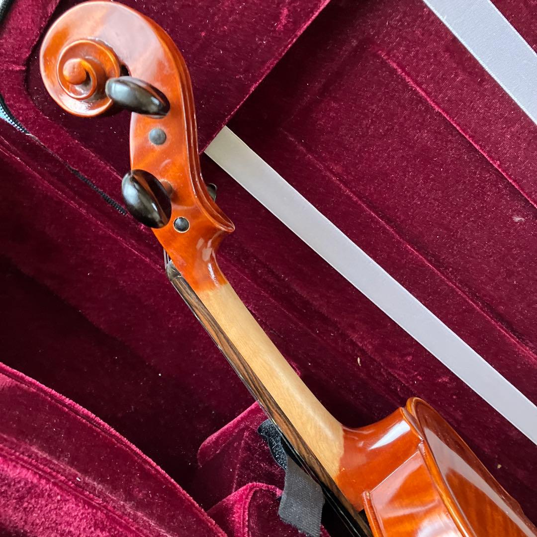 カルロジョルダーノ VS-3　フレット バイオリン4/4 虎目一枚板 一式セット