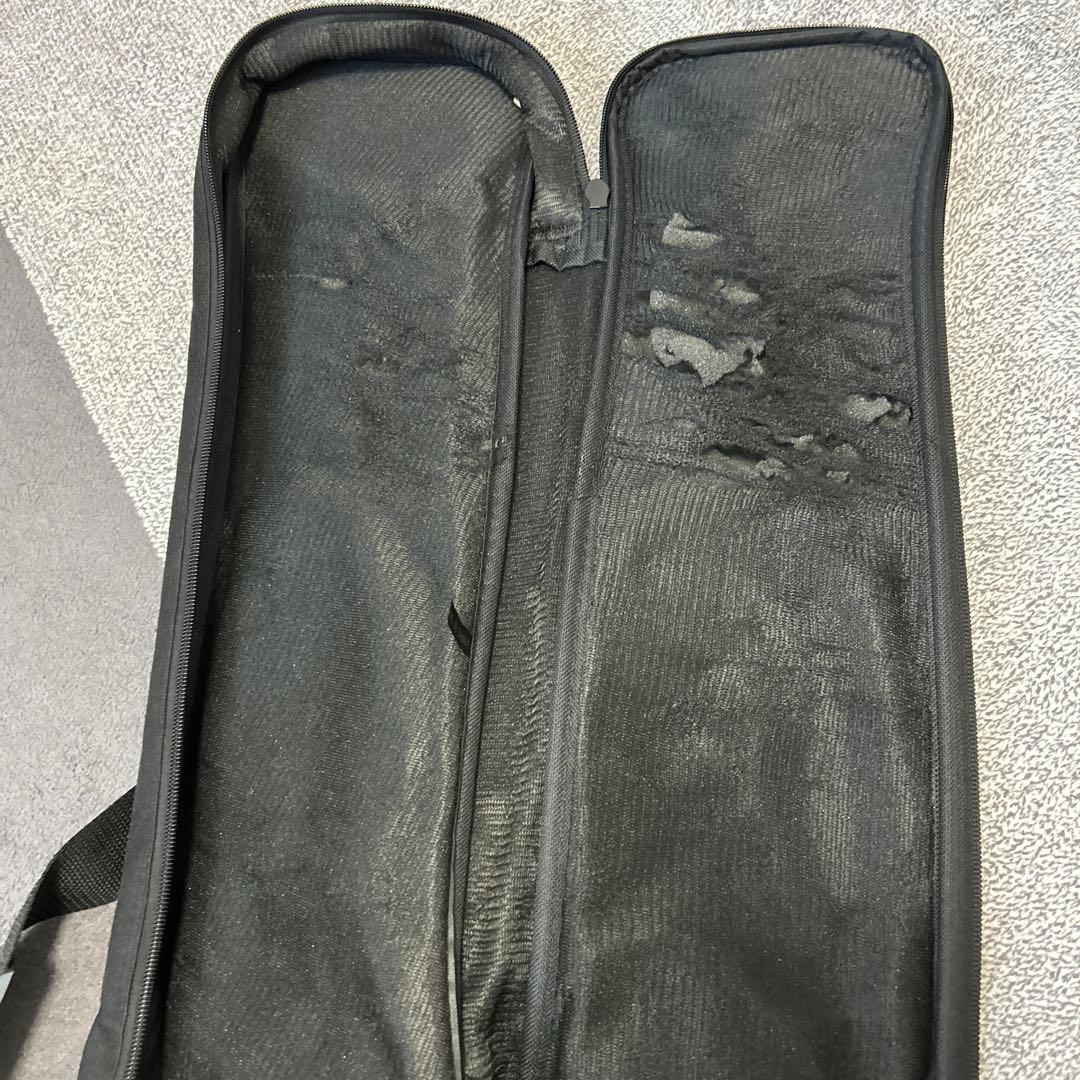 エレキギター　IbanezRGV250