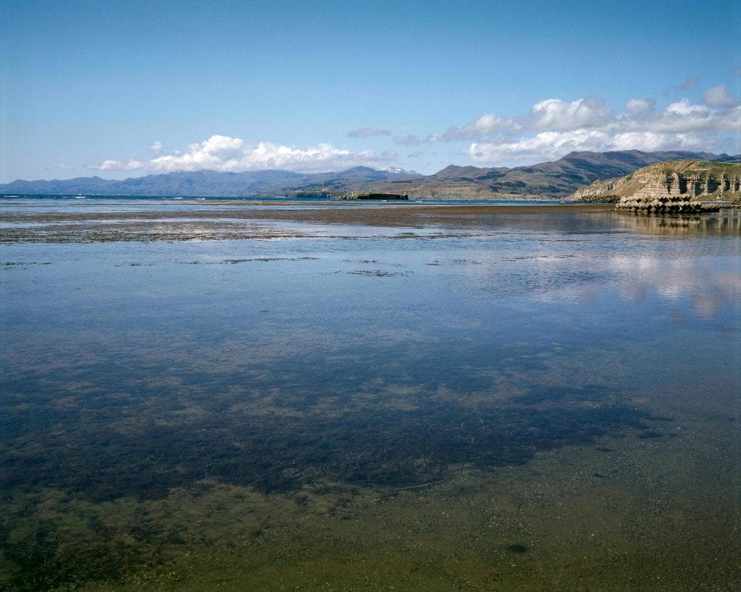 【完動品】Plaubel makina67 マキナ67 美品