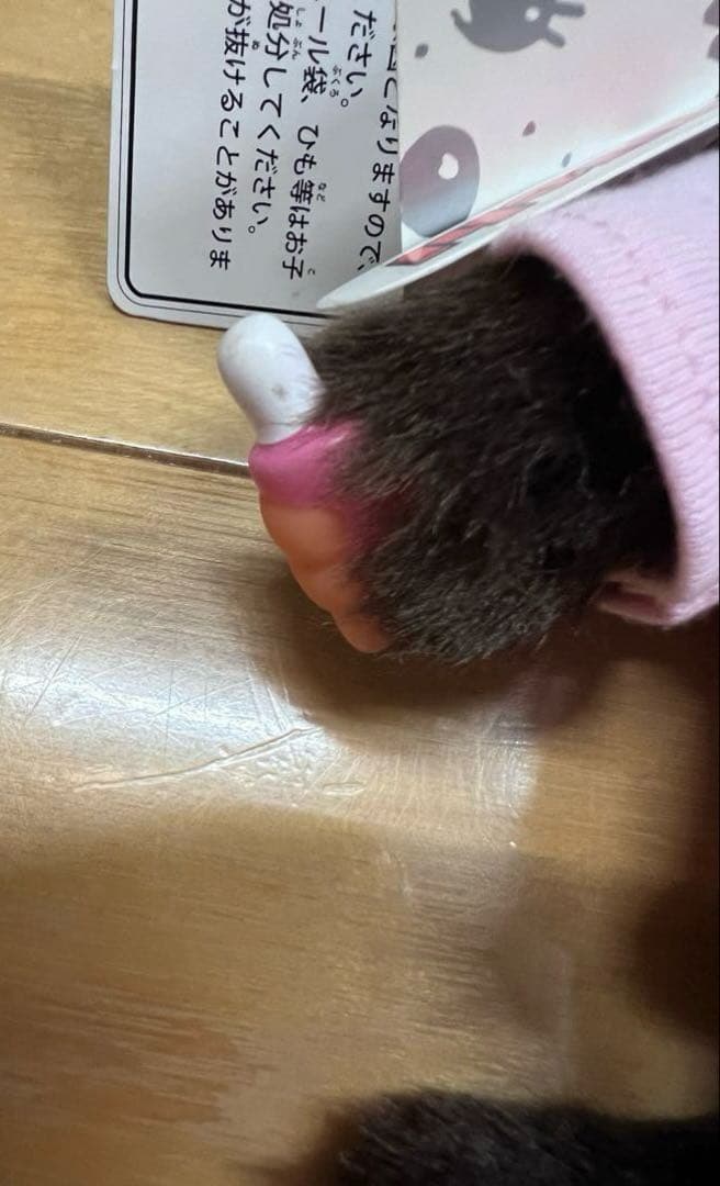 9体セット！monchhichi モンチッチ チムたん　S Mサイズ