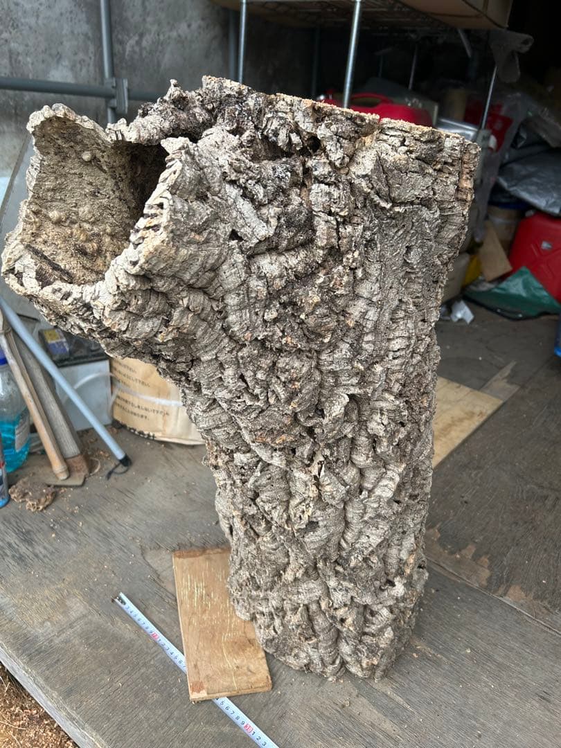 ポルトガル産コルク樹皮 ＰＬ-1002-103Ｌ