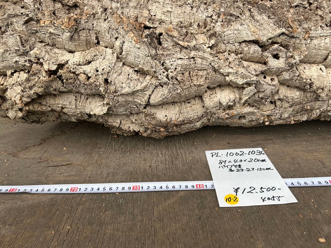 ポルトガル産コルク樹皮 ＰＬ-1002-103Ｌ