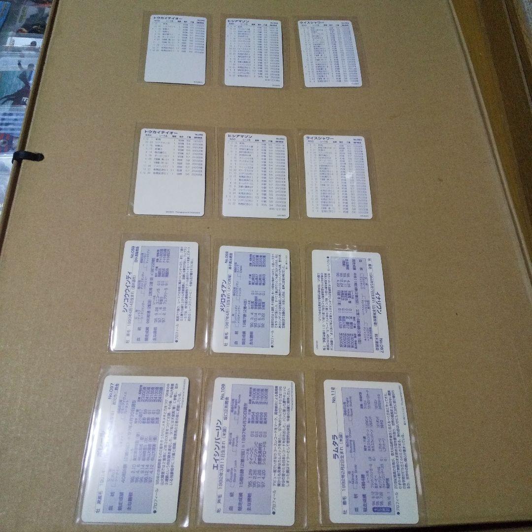 まねき馬倶楽部 ゴールドカード 、トウカイテイオー訂正版