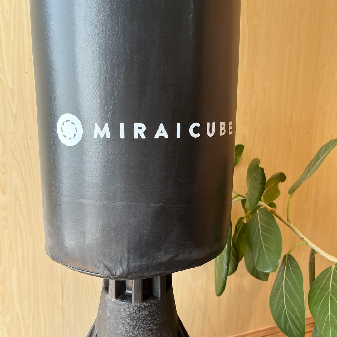 新品✨サンドバッグ✨ボクシング✨自宅用✨自立型✨グローブ付き✨ブラック