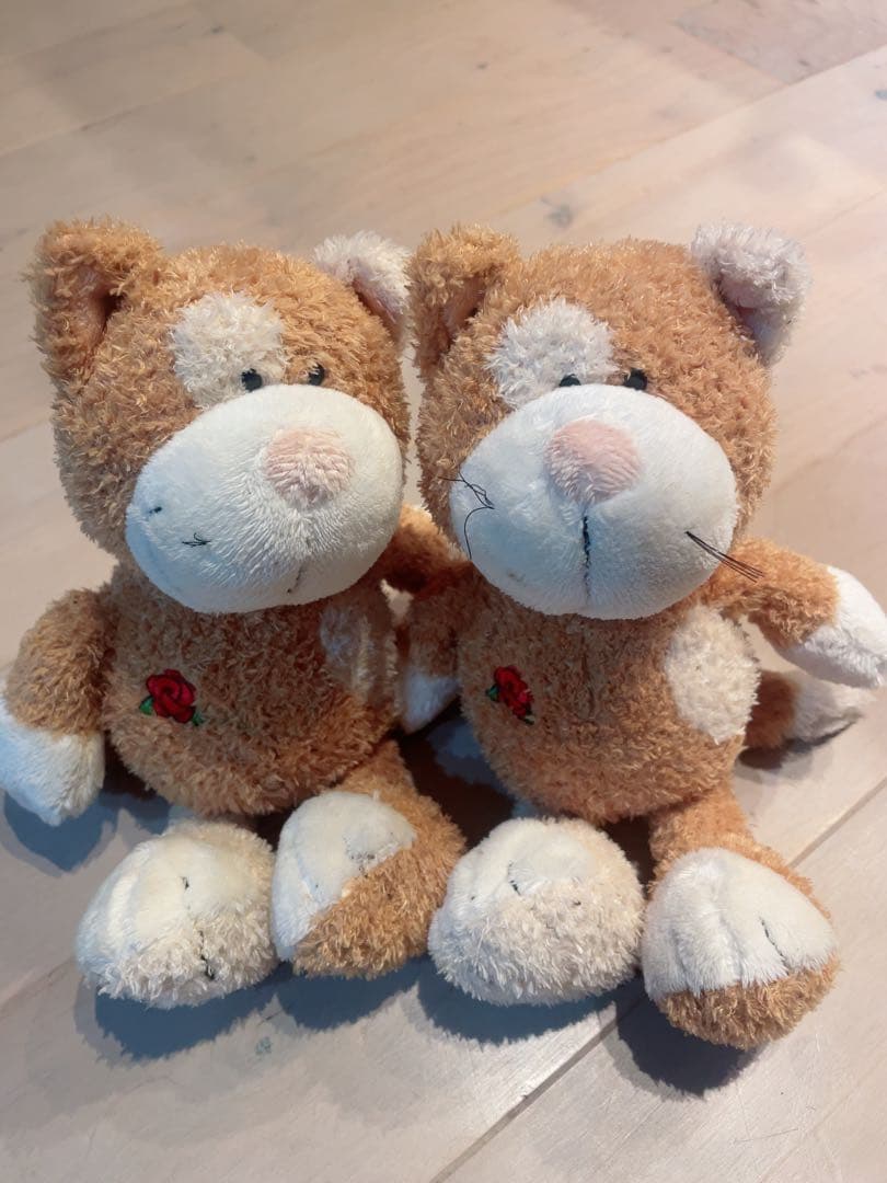 NICI レアのオレンジ猫のぬいぐるみ2体セット25センチ《生産終了》