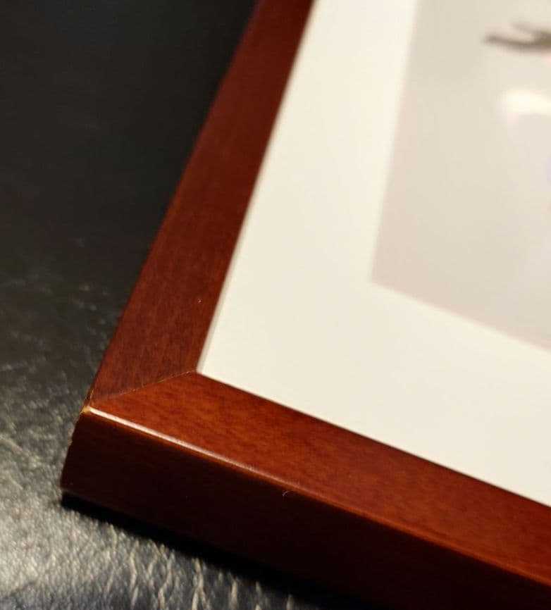 逆転裁判 20周年記念 額装グラフィックアート