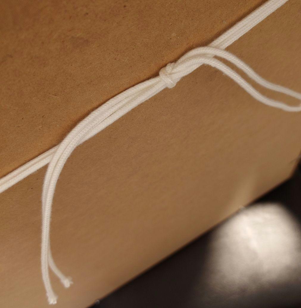 逆転裁判 20周年記念 額装グラフィックアート