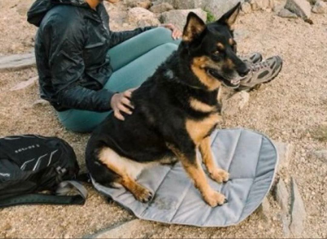 ラフウェア ハイランズ パッド Ruffwear Highlands M