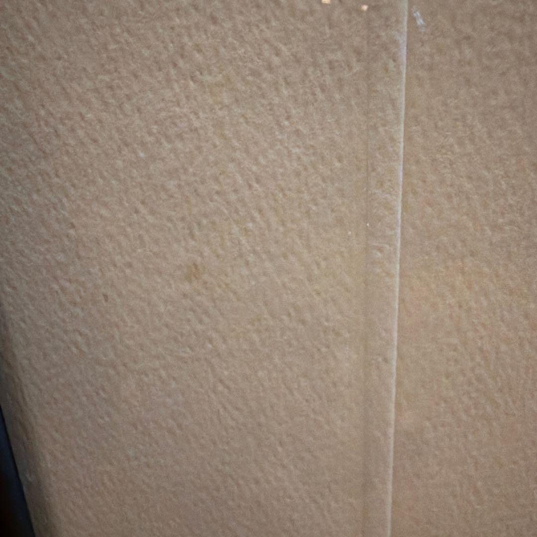 米米CLUB 石井竜也　絵画　浪漫飛行　ジェット・ストリーム編