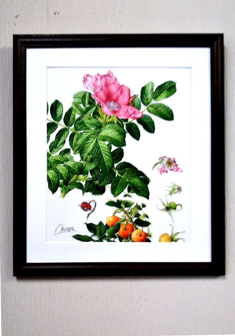 110000円値引き!・超細密肉筆植物画ハマナス(浜梨)