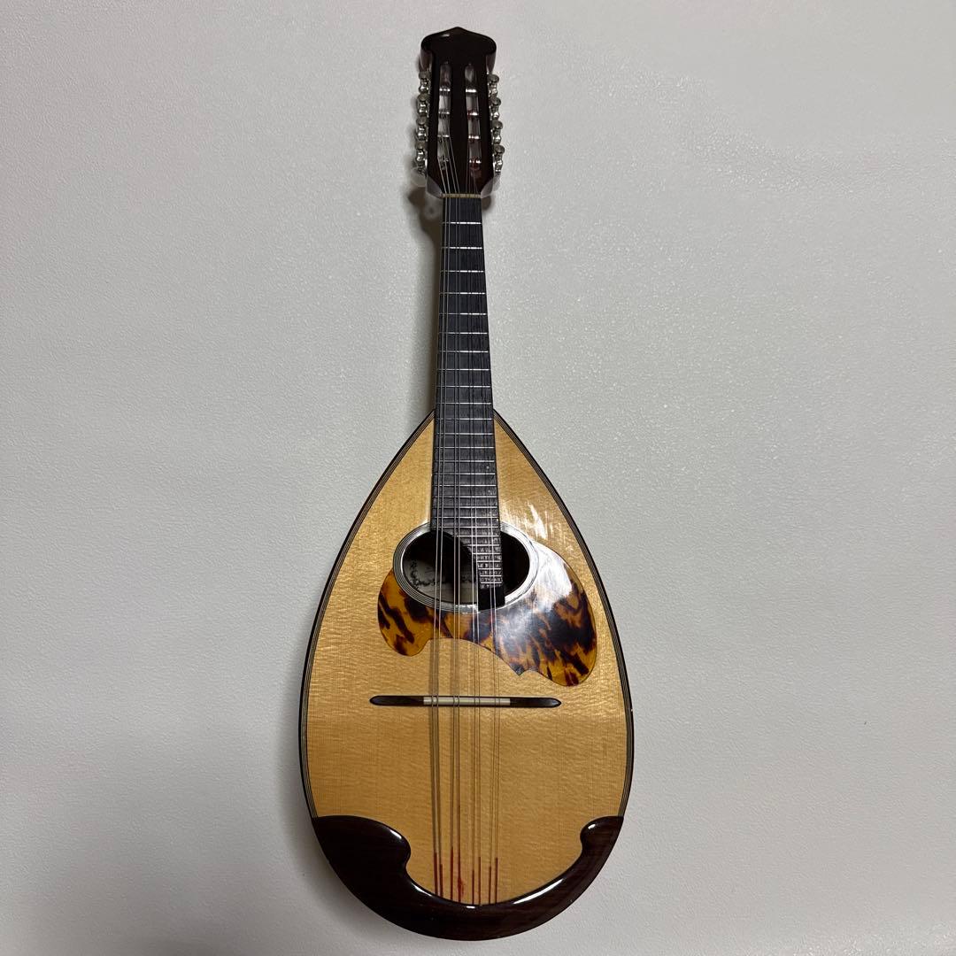 石川捷二郎監修 Venezia マンドリン M-50