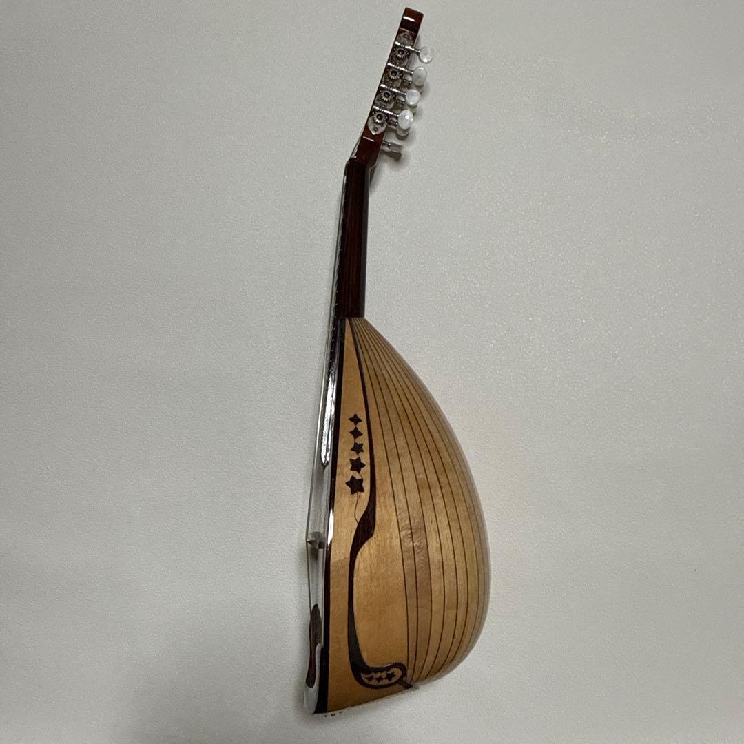 石川捷二郎監修 Venezia マンドリン M-50