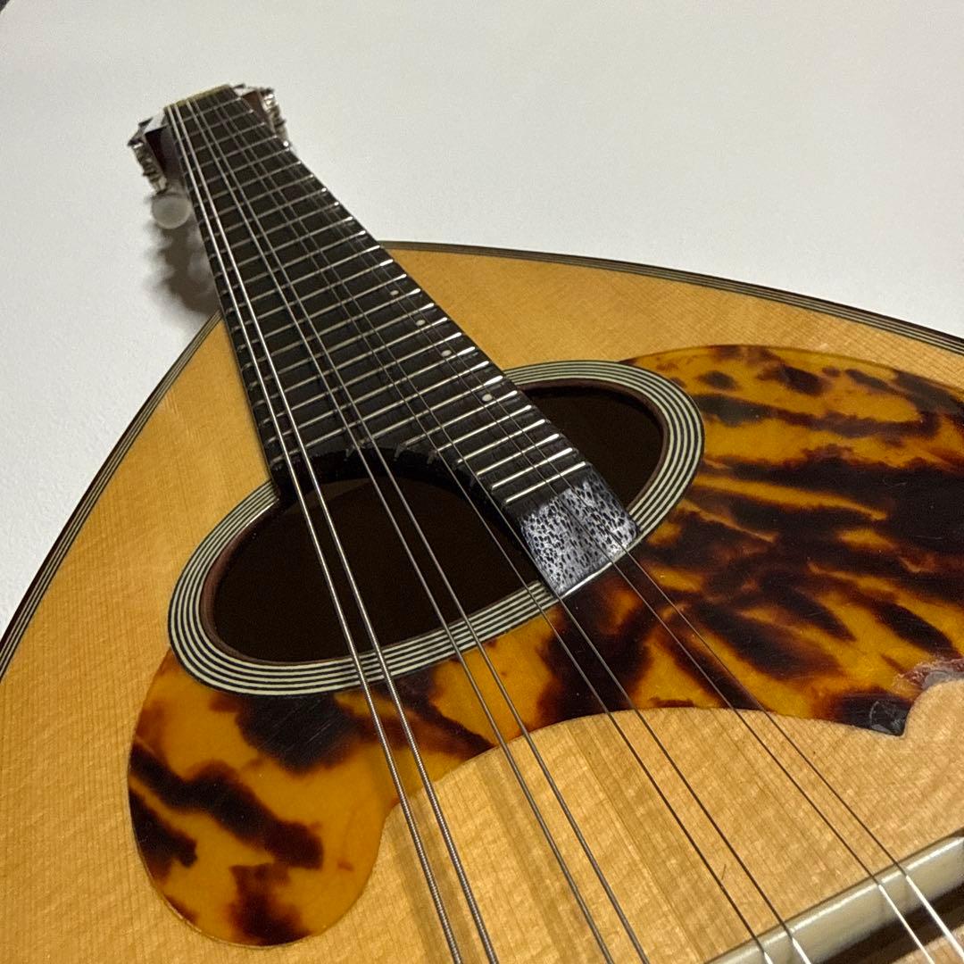 石川捷二郎監修 Venezia マンドリン M-50