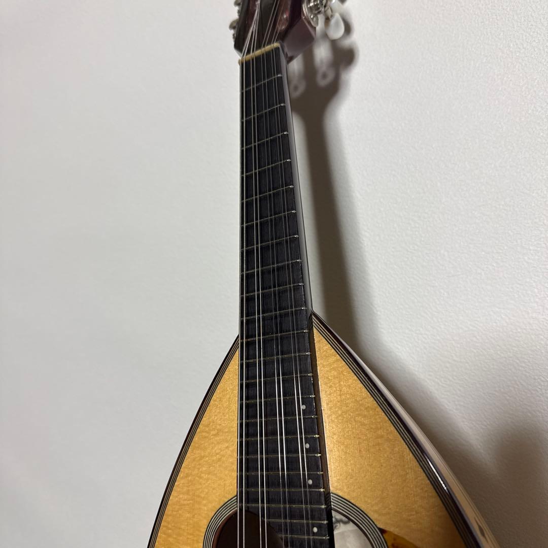 石川捷二郎監修 Venezia マンドリン M-50