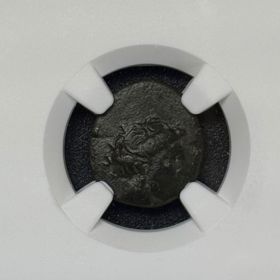 古代　テッサリア 紀元前4世紀 AE15  NGC認証