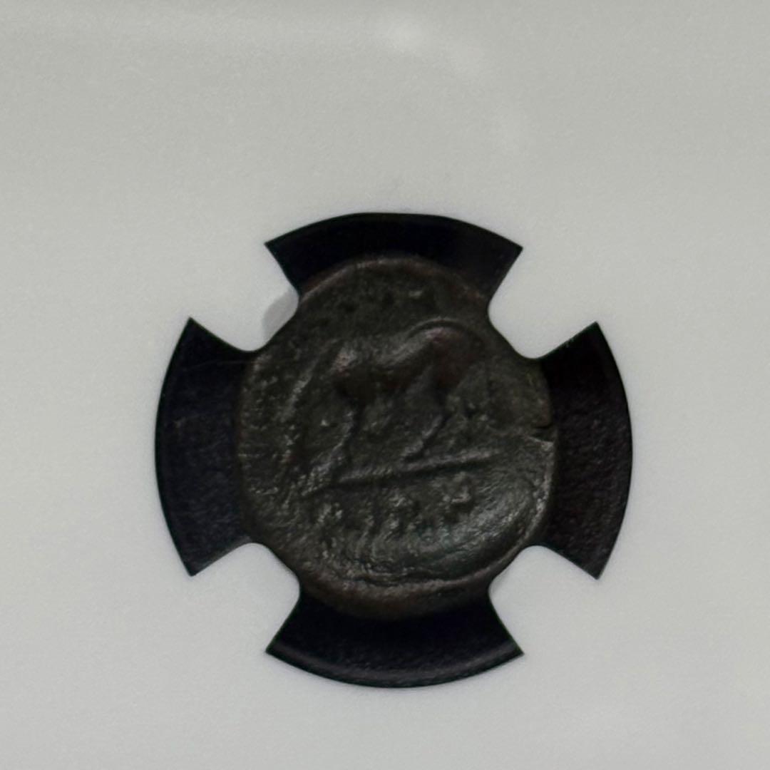 古代　テッサリア 紀元前4世紀 AE15  NGC認証