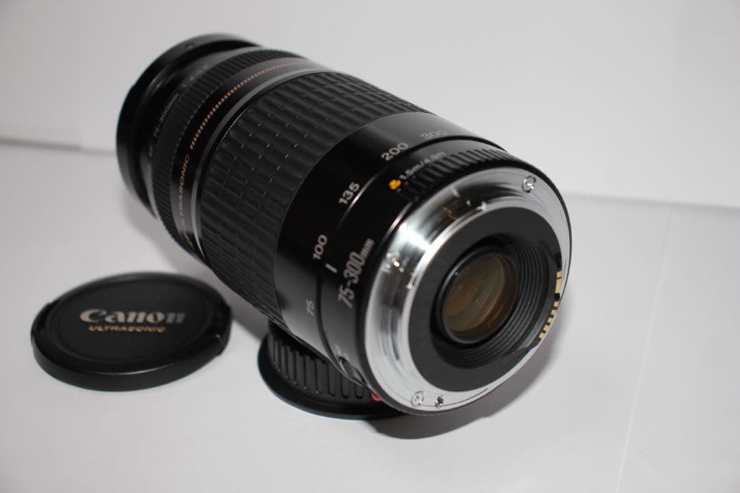 望遠レンズ☆イベントに大活躍☆Canon EF75-300㎜