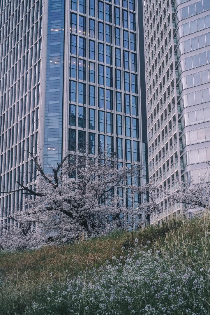 デジタル一眼対応！SMC PENTAX-A 50mm F1.4