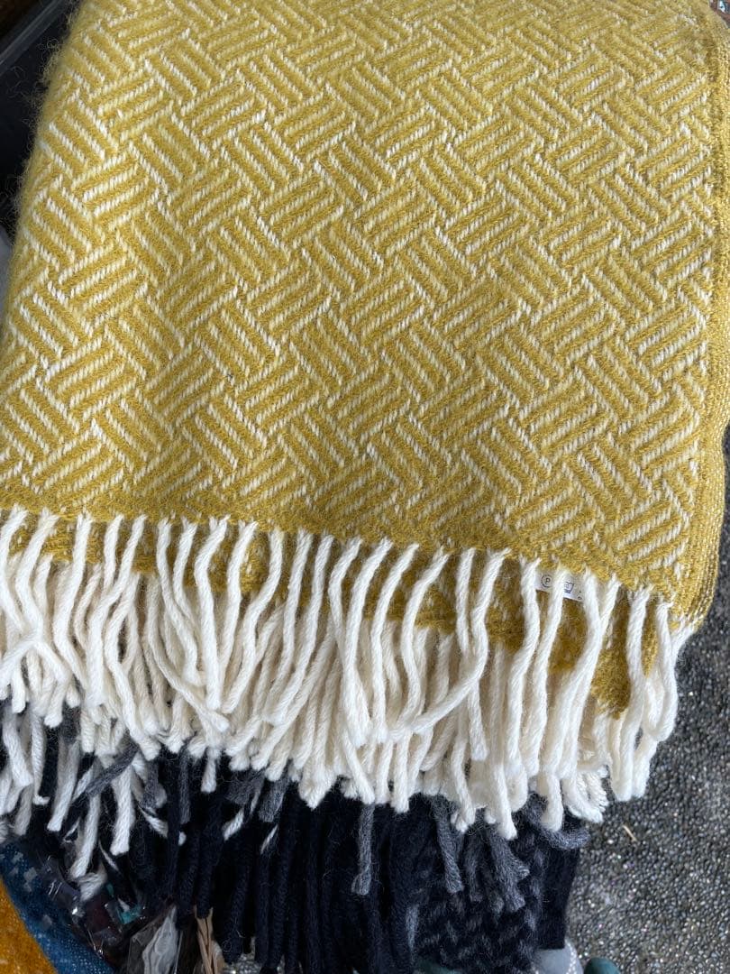 【お年玉SALE】新品クリッパン/samba yellow ブラン