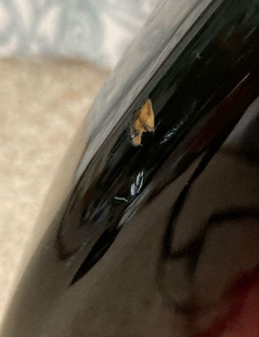 SX エレキギター サンバースト　スタンド付き　キズ有り ベルト付