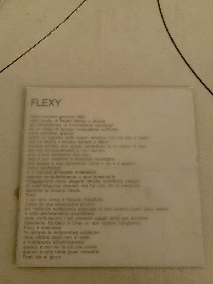 希少 Bruno Munari FLEXY / danese