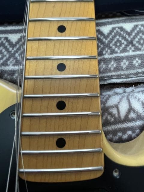 FUJIGEN NTE10M AH /OWB テレキャスター 超美品