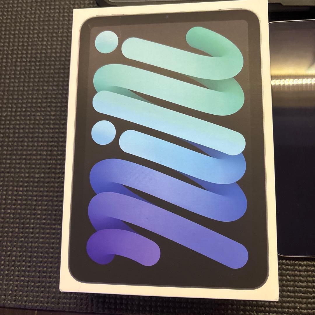 Apple iPad mini グラファイト