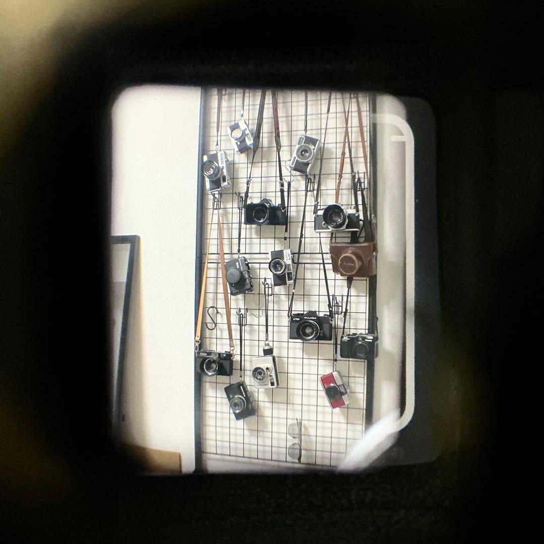 OLYMPUS PEN-EED 整備済