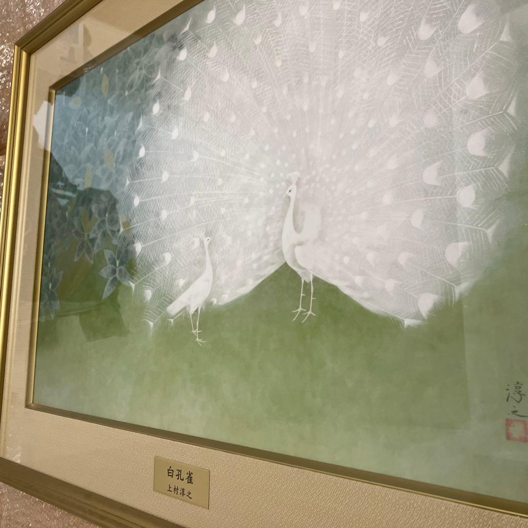 限定 白孔雀 上村淳之 日本画